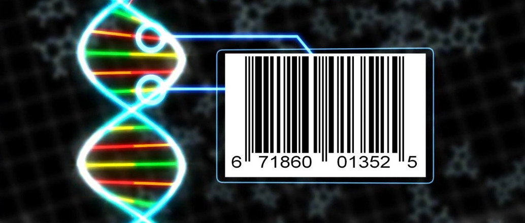 plant-dna-barcoding-in-the-genomics-era-know-our-plants